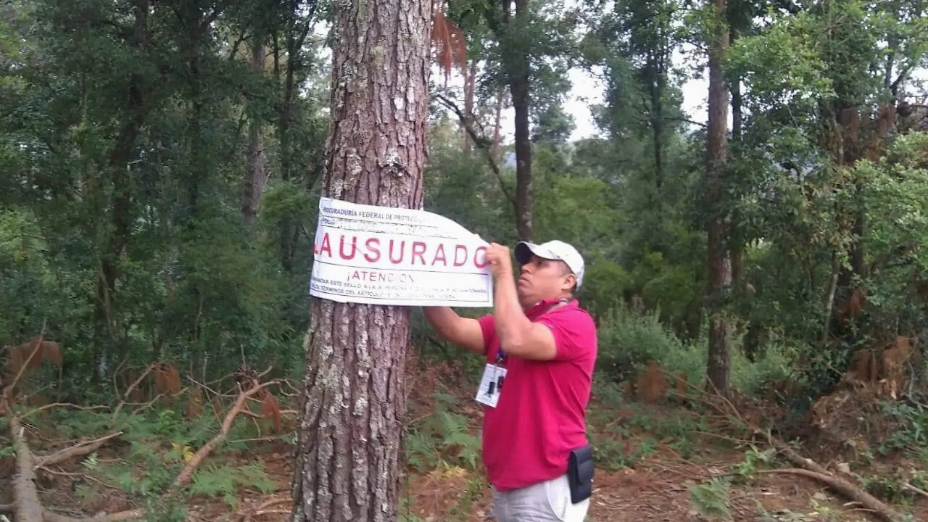 clausuran bosque zacatlán